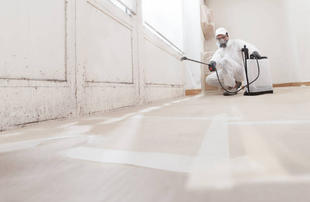 24/7 Emergency Attic Mold Removal experts in Springfield, OR